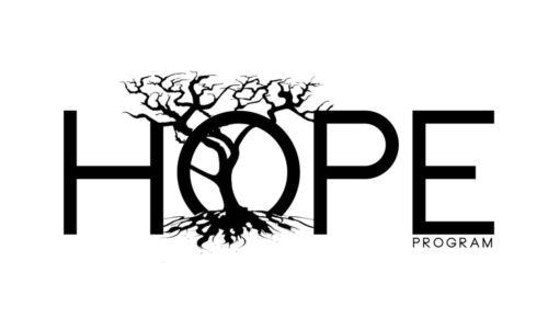 What is the HOPE Program & How does it Work – 2024 Guide 