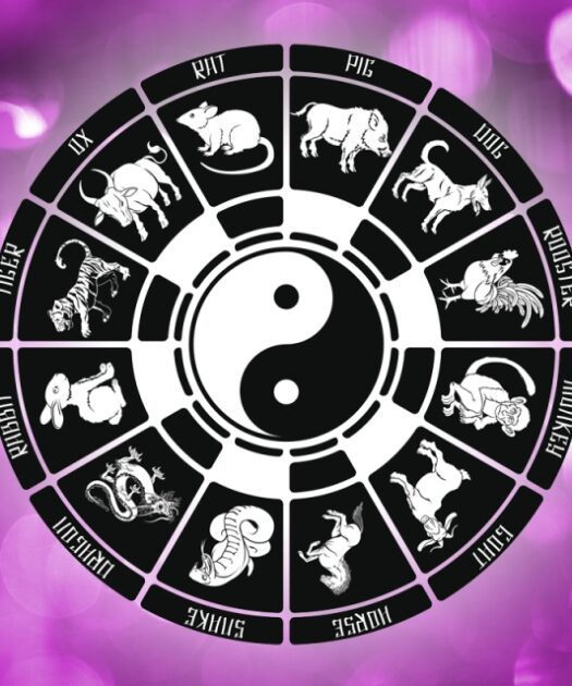 Mythology Behind the Chinese Zodiac Signs