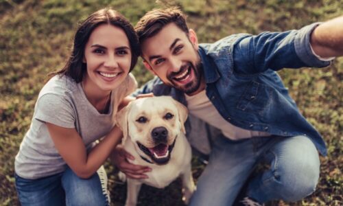 7 Benefits of Getting a Pet for Your Relationship