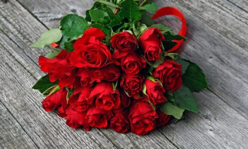 Why Red Rose Became the Ultimate Symbol of Love