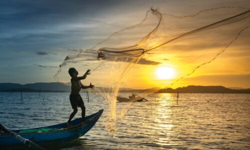 How to Properly Use a Fishing Net – 2024 Beginners Guide