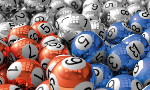 How Is Lotto247 Changing The Trends of Playing Lottery – Why Is It Best?