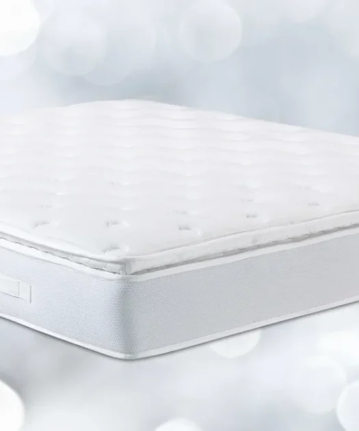 Causes for Mold on Mattresses And How to Get Rid Of It
