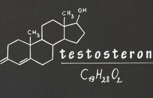 8 Testosterone Myths You Need to Know