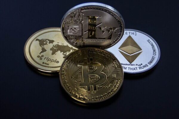 Which Cryptocurrencies Should You Invest In?