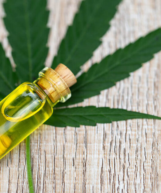 The Most Popular CBD Oil Benefits You Should Know About