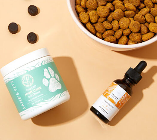 How to Know if CBD Is Right for Your Pet