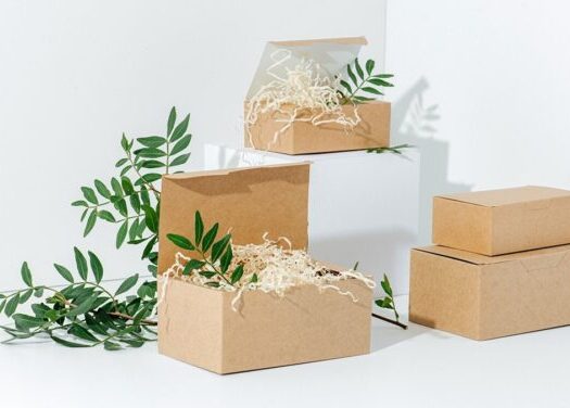 6 Ways Your Business Can Enhance Product Packaging ─ Benefits of Eco-Friendly Solutions