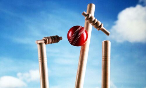 The Art of Cricket Betting ─ Analyzing Match Conditions