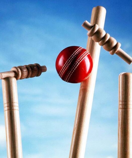 The Art of Cricket Betting ─ Analyzing Match Conditions