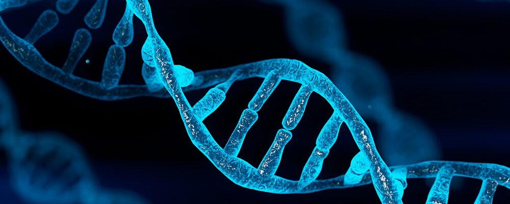 A Layman’s Guide to Understanding DNA and Its Role in Health, Disease, and Aging