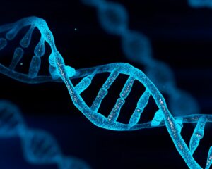 A Layman’s Guide to Understanding DNA and Its Role in Health, Disease, and Aging