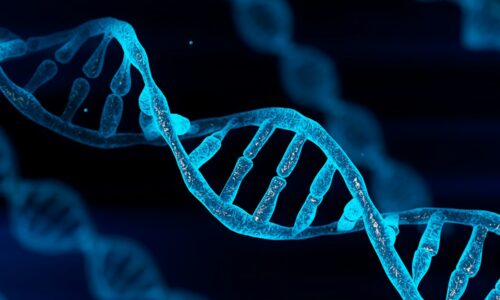 A Layman’s Guide to Understanding DNA and Its Role in Health, Disease, and Aging