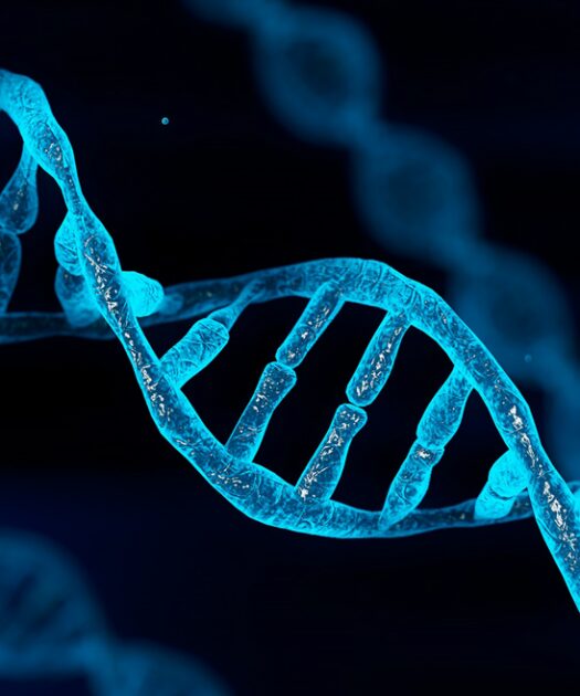 A Layman’s Guide to Understanding DNA and Its Role in Health, Disease, and Aging