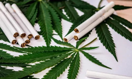 The Green Alternative ─ Why You Should Switch to Hemp Cigarettes