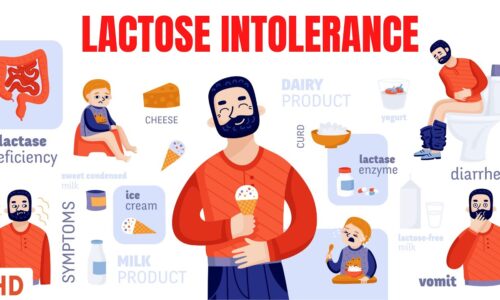 Lactose Intolerance: How Milk Alternatives Are Changing The Game