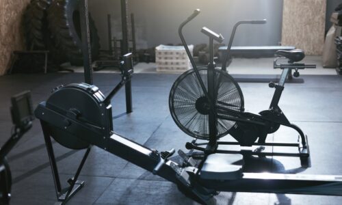 Staying Fit ─ Which One Is Better, Assault Bike or Rower?
