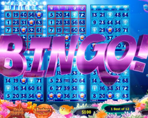 Bingo Gaming and Work-Life Balance ─ Strategies for Success