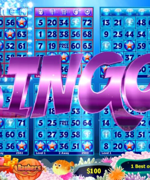 Bingo Gaming and Work-Life Balance ─ Strategies for Success